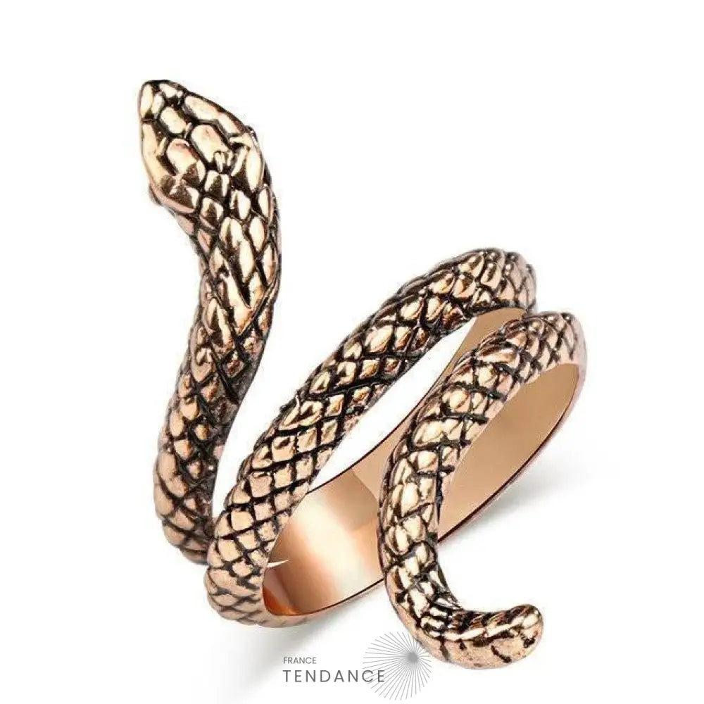 Bague Dark Snake | France-Tendance