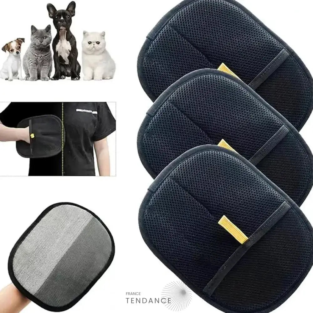 GANTIPOIL + | Le Gant Ramasse Poils révolutionnaire 2025