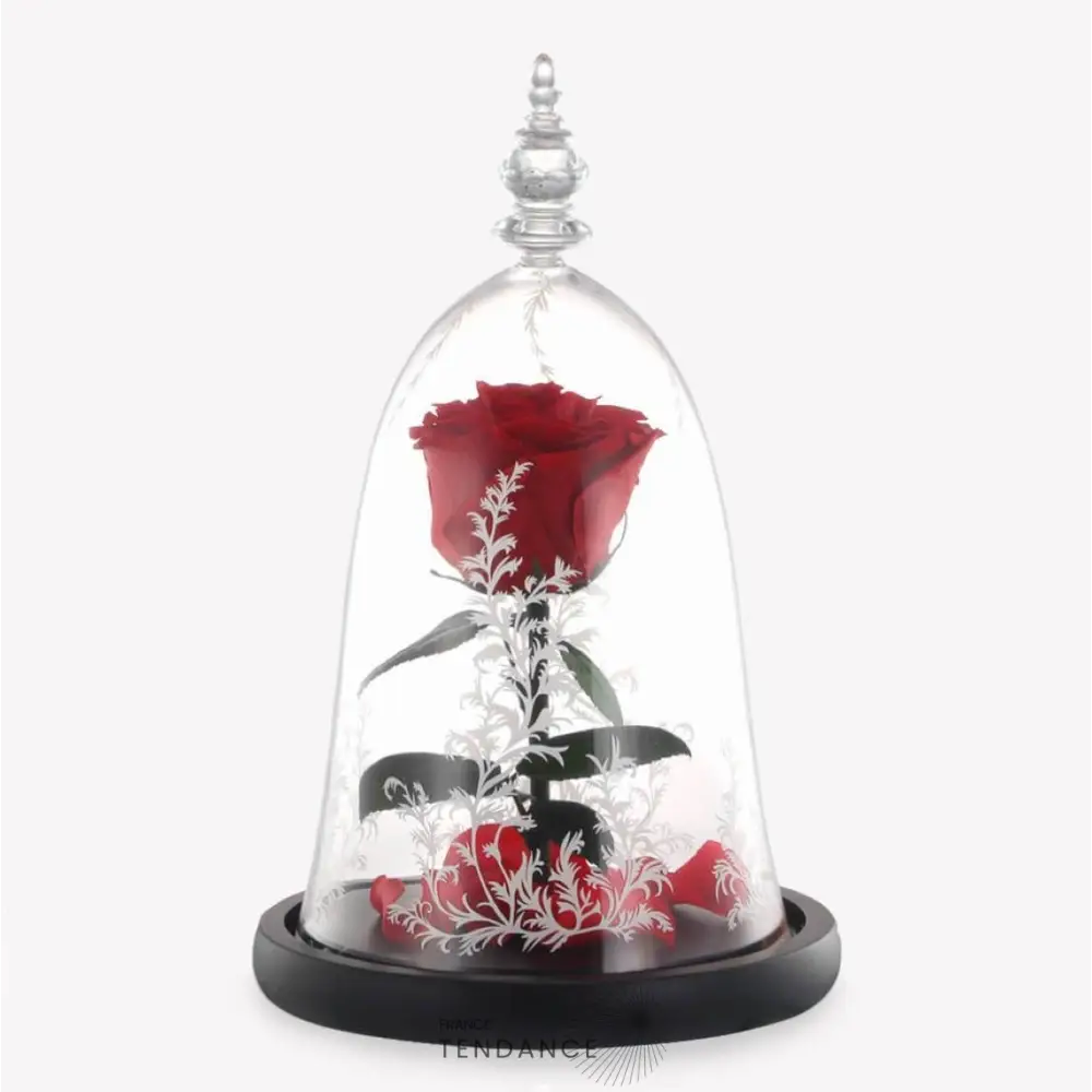 Rose éternelle Sous Cloche La Belle Et Bête |