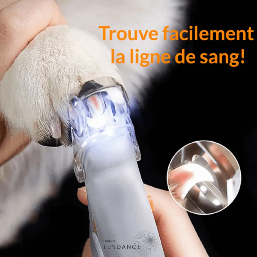 Clippernail™ | Coupe-griffe Chien & Chat | France-Tendance