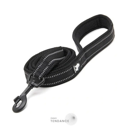 Laisse Lumineuse Réfléchissante | France-Tendance