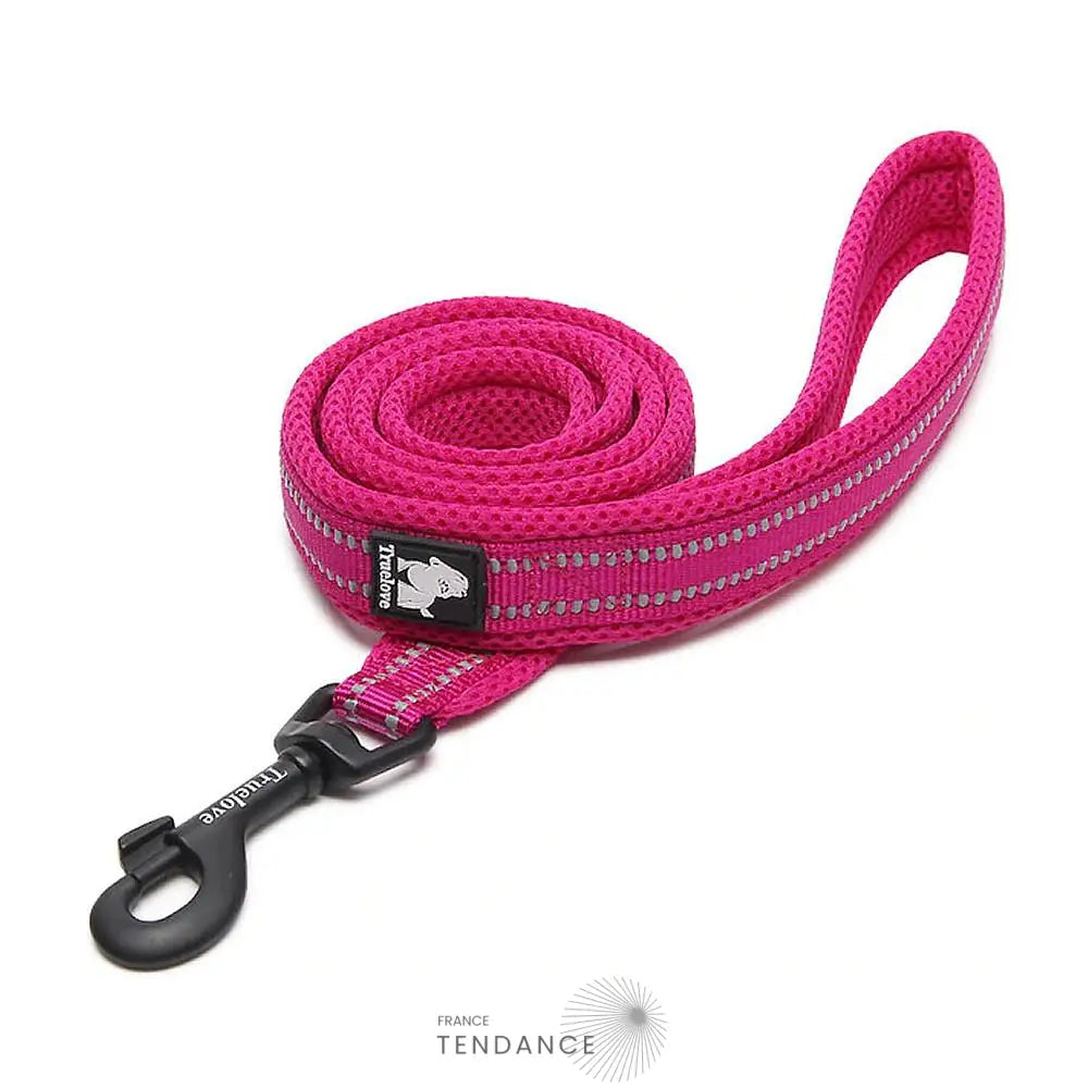 Laisse Lumineuse Réfléchissante | France-Tendance