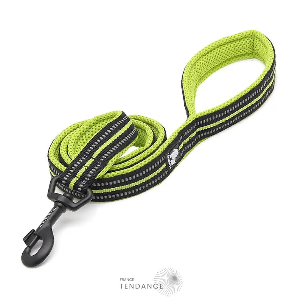 Laisse Lumineuse Réfléchissante | France-Tendance