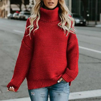 Pull Tricoté à Col Roulé | France-Tendance