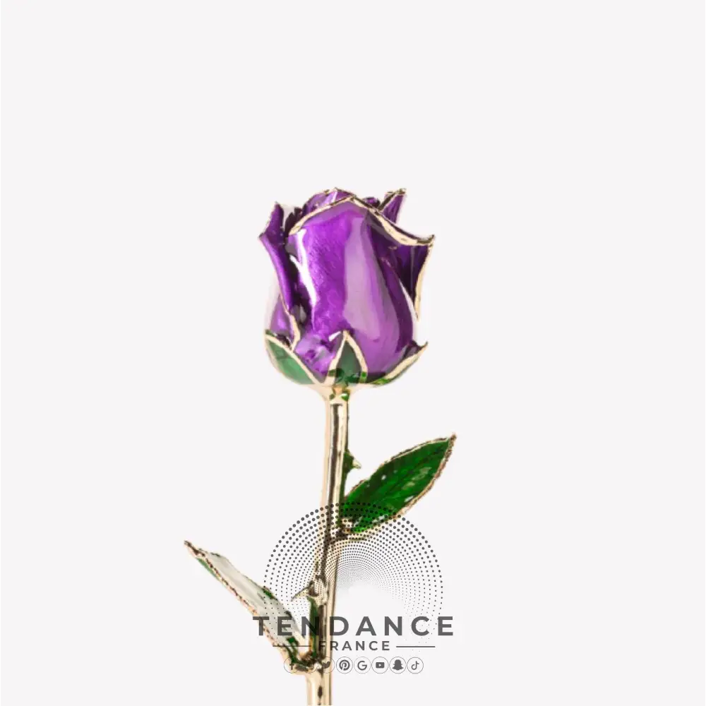 Rose En Or Violette | France-Tendance